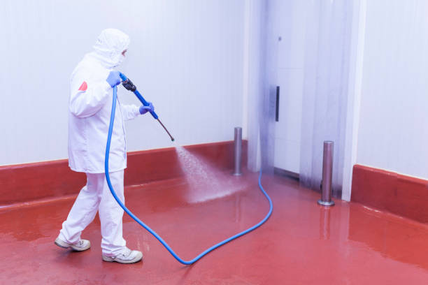 Best Gas Station Cleaning  in Woodridge, IL