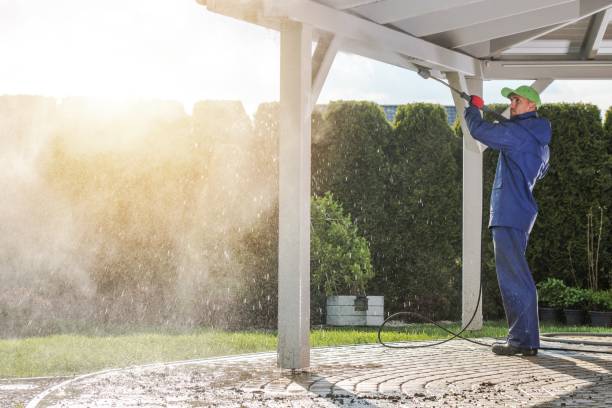 Best Warehouse Cleaning  in Woodridge, IL